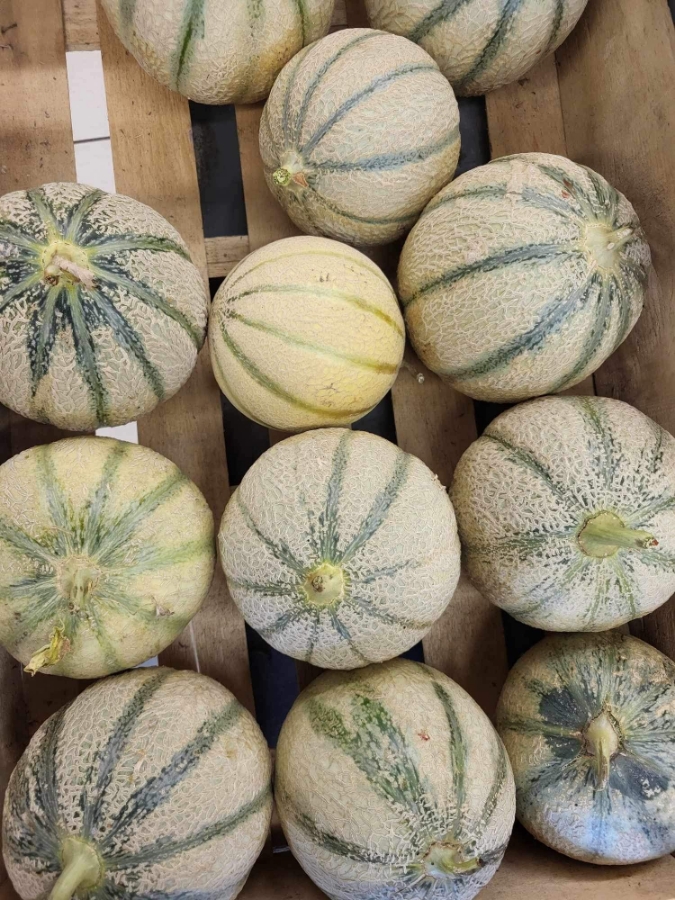 Au Marche De Loust Boucherie Ploermel FRUITS ET LEGUMES 1